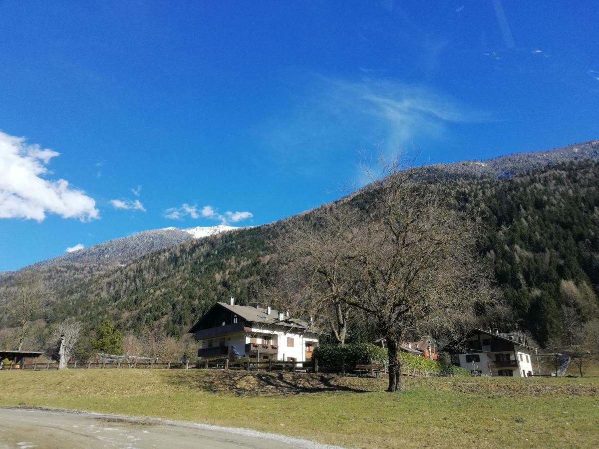 Attico Abbraccio Di Luce Daire Spiazzo  Dış mekan fotoğraf